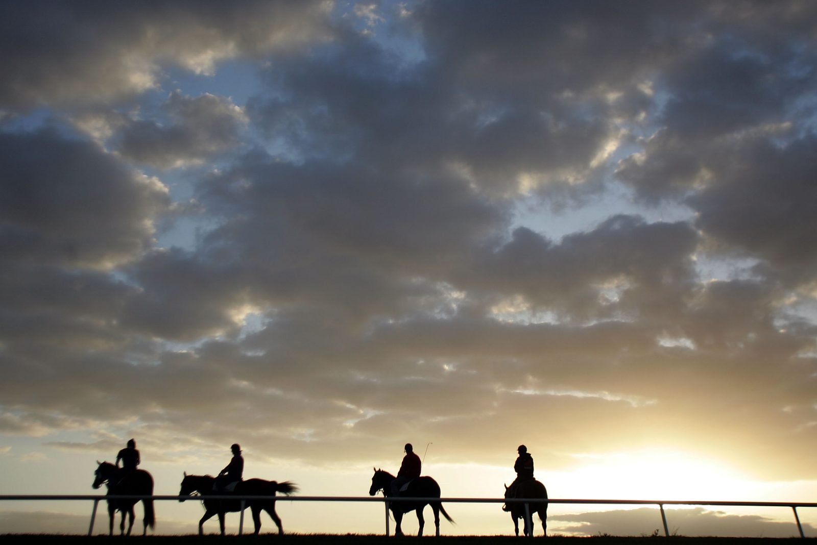 A horse and rider on the gallops at dawn