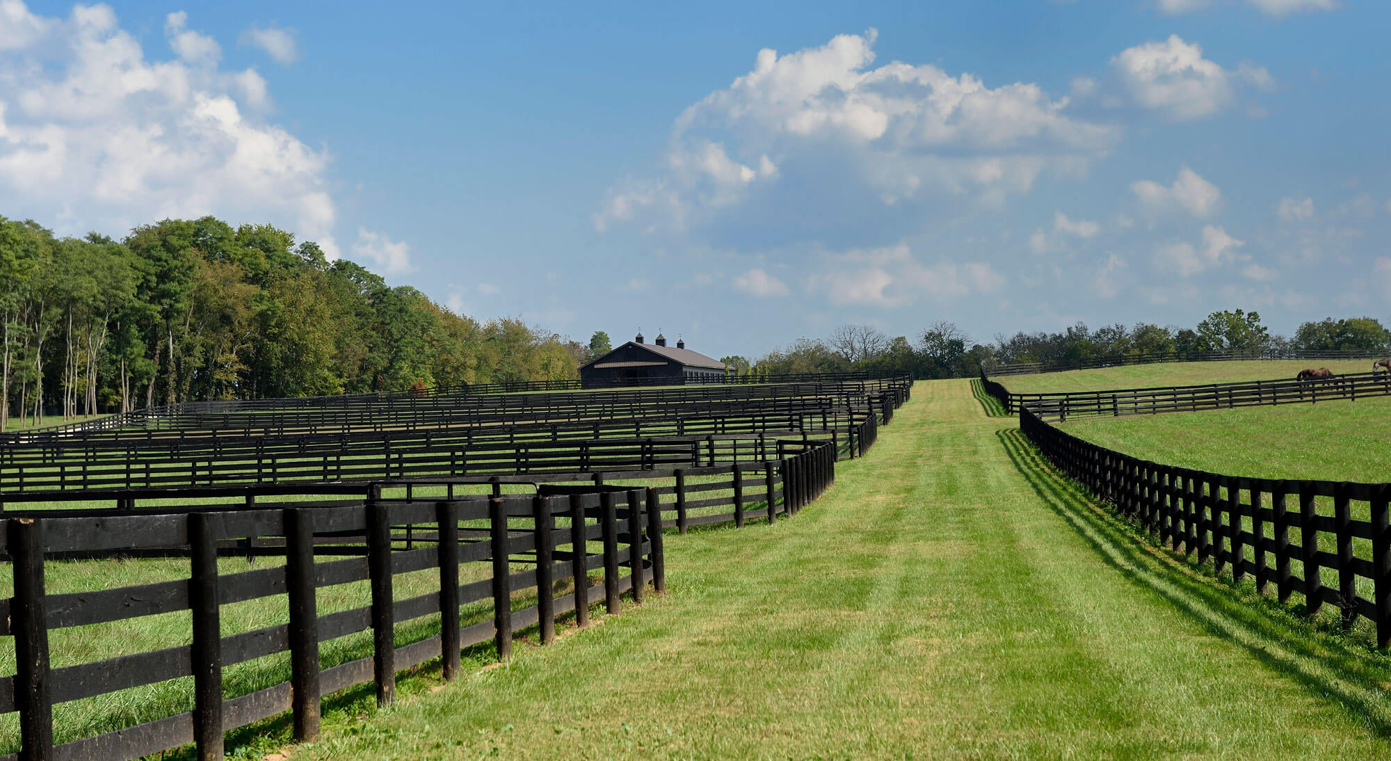 Rows of black-fenced paddocks rolling up to the main barn