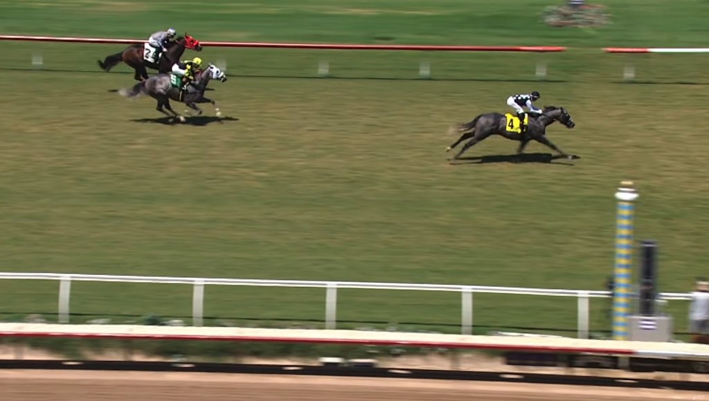 Bull Shoals, number 4, drawing well clear of the field on the Del Mar turf course