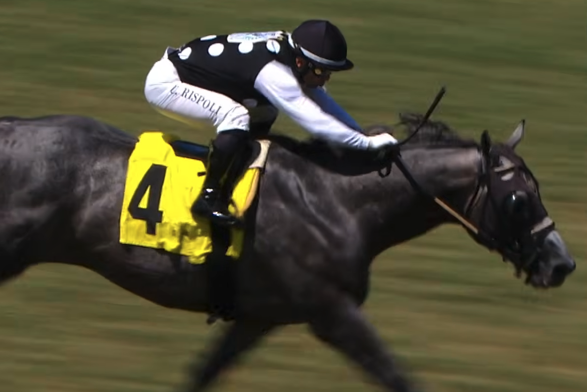 Bull Shoals, number 4, and jockey Rispoli driving clear to the line on the turf at Del Mar