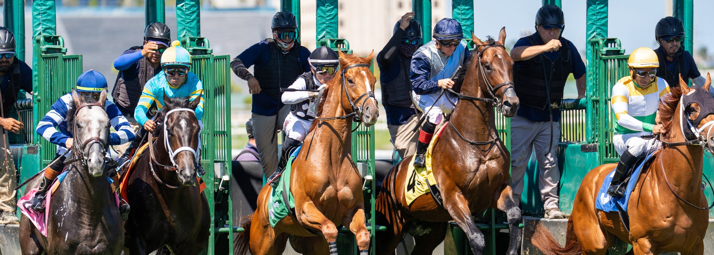 A field of Thoroughbreds breaking from the starting gate