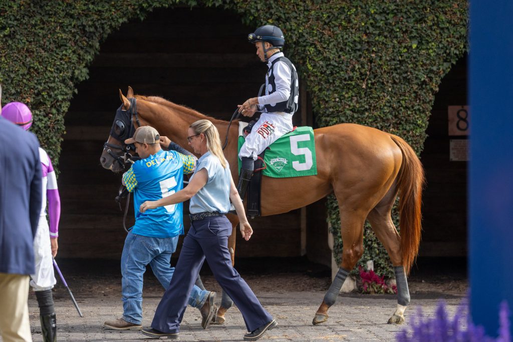 Party Animal being led through the Del Mar paddock before the Real Good Deal Stakes