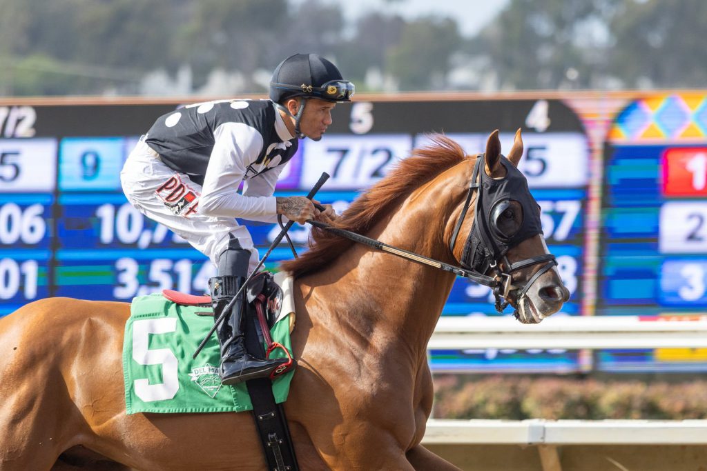 Party Animal and jockey Jose Morelos on the track before the Real Good Deal Stakes at Del Mar