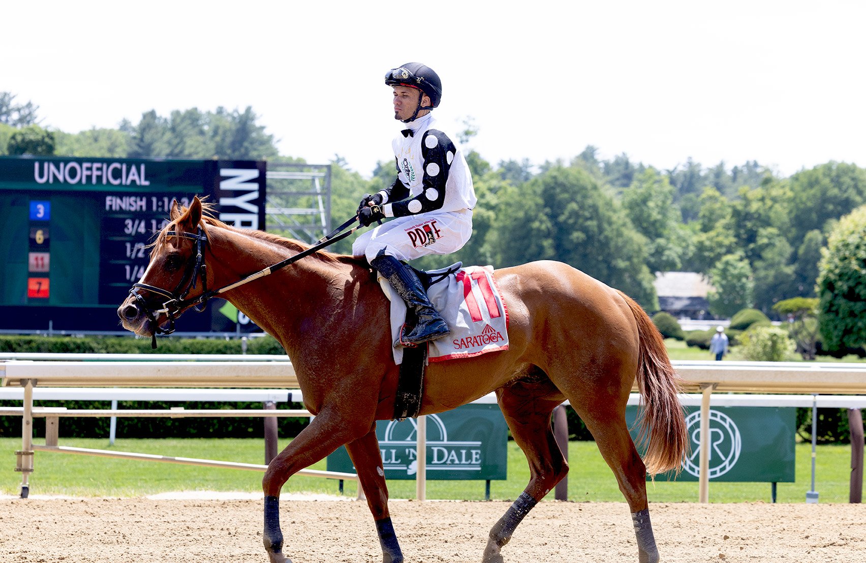 Bushman silks - white-body New York set - the jockey aboard a chestnut at Saratoga
