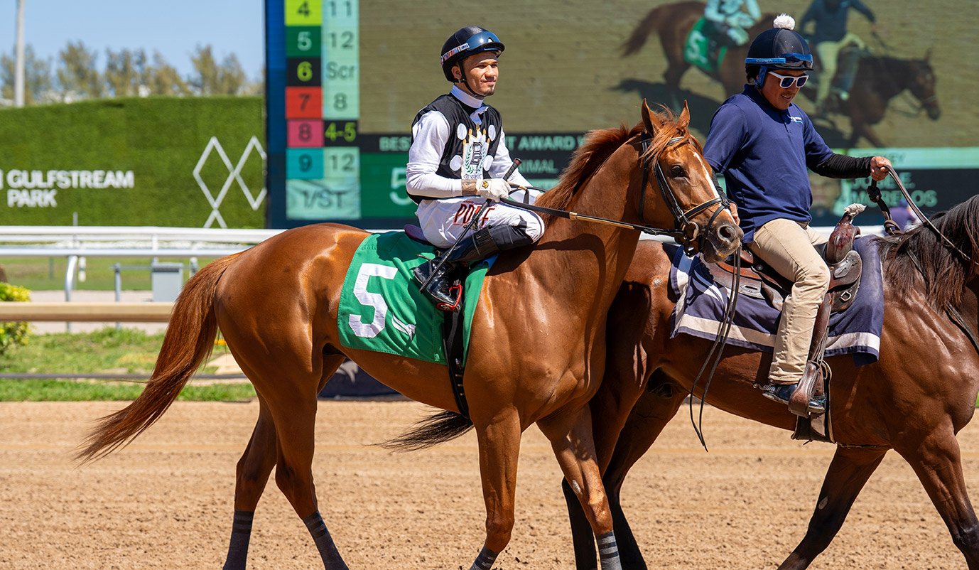 Bushman silks - black-body primary set - the jockey aboard a chestnut at Gulfstream Park